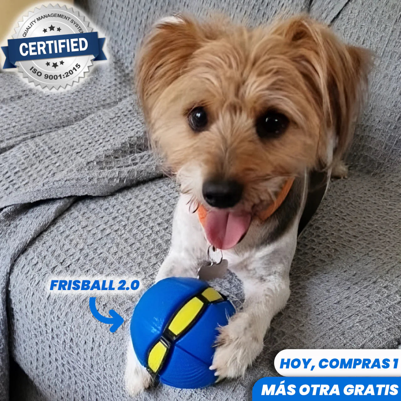 1 + 1 GRATIS | FRISBALL 2.0™ - La primera pelota que mantiene a tu perro activo para evitar que pase algo terrible por culpa de la temida obesidad mórbida